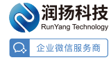 润扬科技