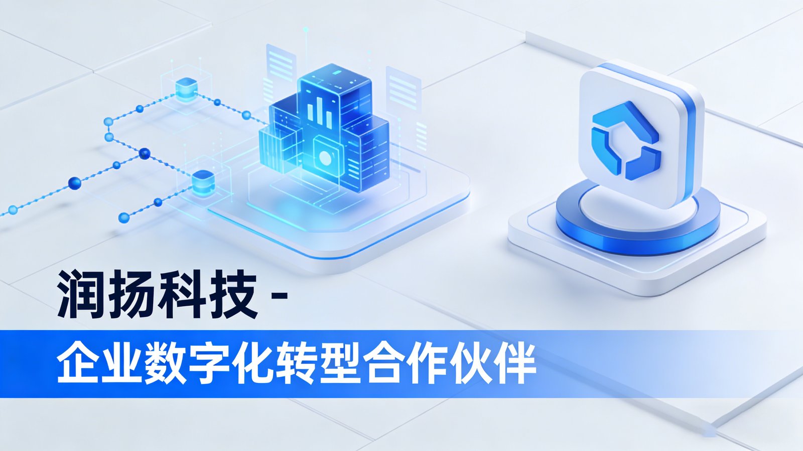 润扬科技企业数字化转型合作伙伴介绍